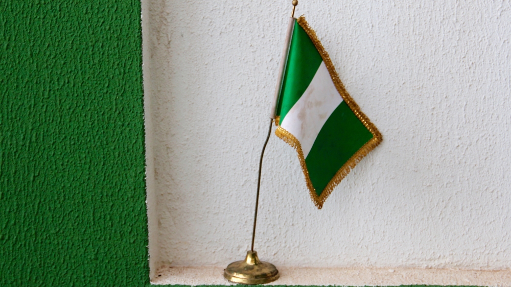 The green and white flag designed by Michael Taiwo Akinkunmi [Femke van Zeijl/XEn News] 
